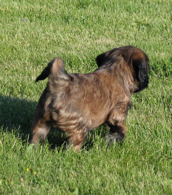 paddington_back.JPG