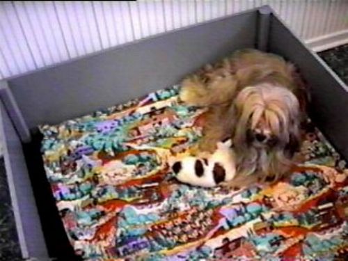 thm_ba_ks4.jpg