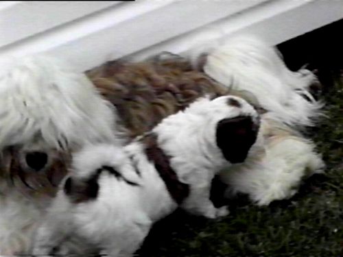 thm_babe_playing.jpg