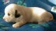 Thumbs/tn_Quiara2_3_wks.jpg