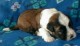 Thumbs/tn_Quigley4_3_wks.jpg